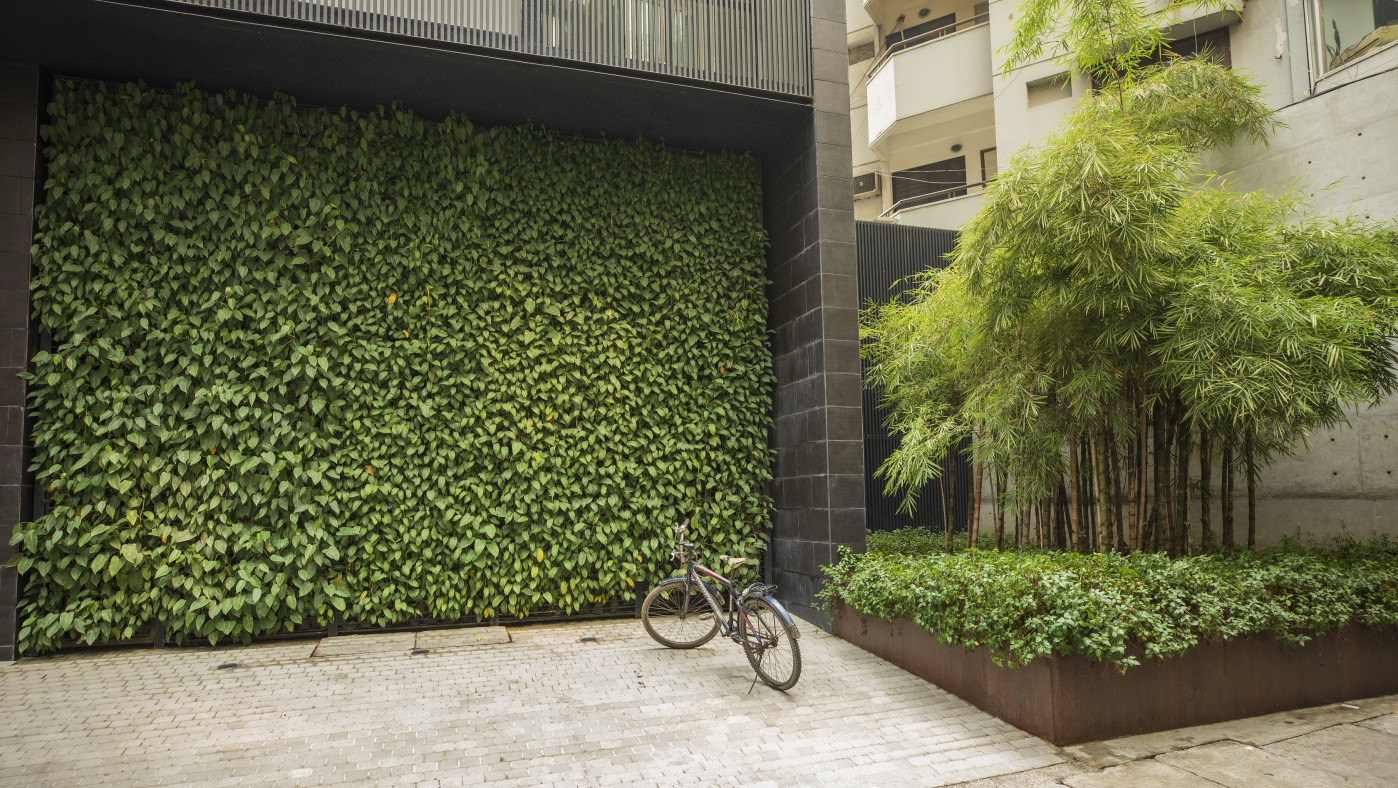 Adding a splash of nature with ‘Green fencing’